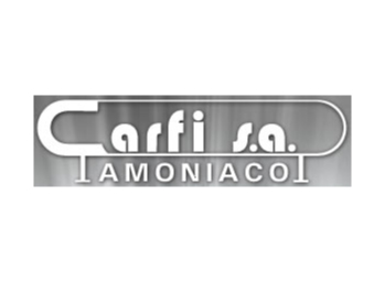 carfi dj consultora